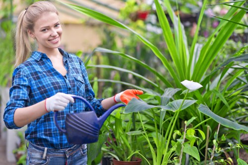Team member starting garden maintenance in a Maida Vale front garden