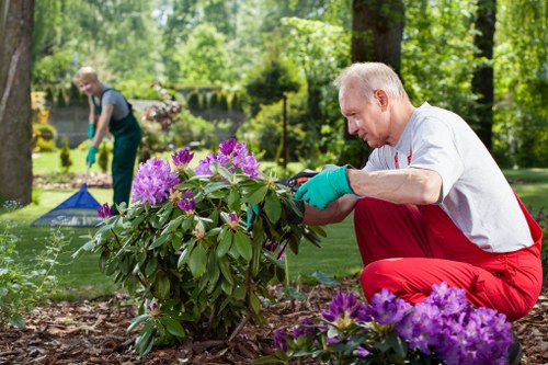 Small Maida Vale garden tidy with lawn mower and pruning