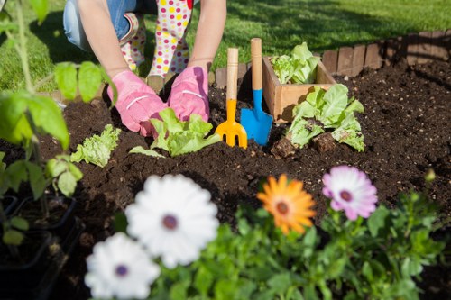 The image shows a close-up view of a garden bed in a residential outdoor space, likely in Maida Vale, with a child's hands wearing pink gardening gloves tending to young lettuce plants. The garden bed is bordered by small wooden planks, and the freshly turned dark soil appears rich and well-maintained. In the foreground, there are white, orange, and purple flowers, adding vibrant colour contrasts to the lush green foliage. Behind the child, a neatly maintained lawn with short, green grass extends, and there are a few gardening tools, including a small shovel and rake, inserted into the soil nearby for planting or maintenance. The scene depicts a well-organised, controlled outdoor area suitable for gardening activities, which relates to professional gardening and landscaping services offered by Garden Maintenance Maida Vale, emphasizing careful cultivation and plant care in a typical urban garden setting.